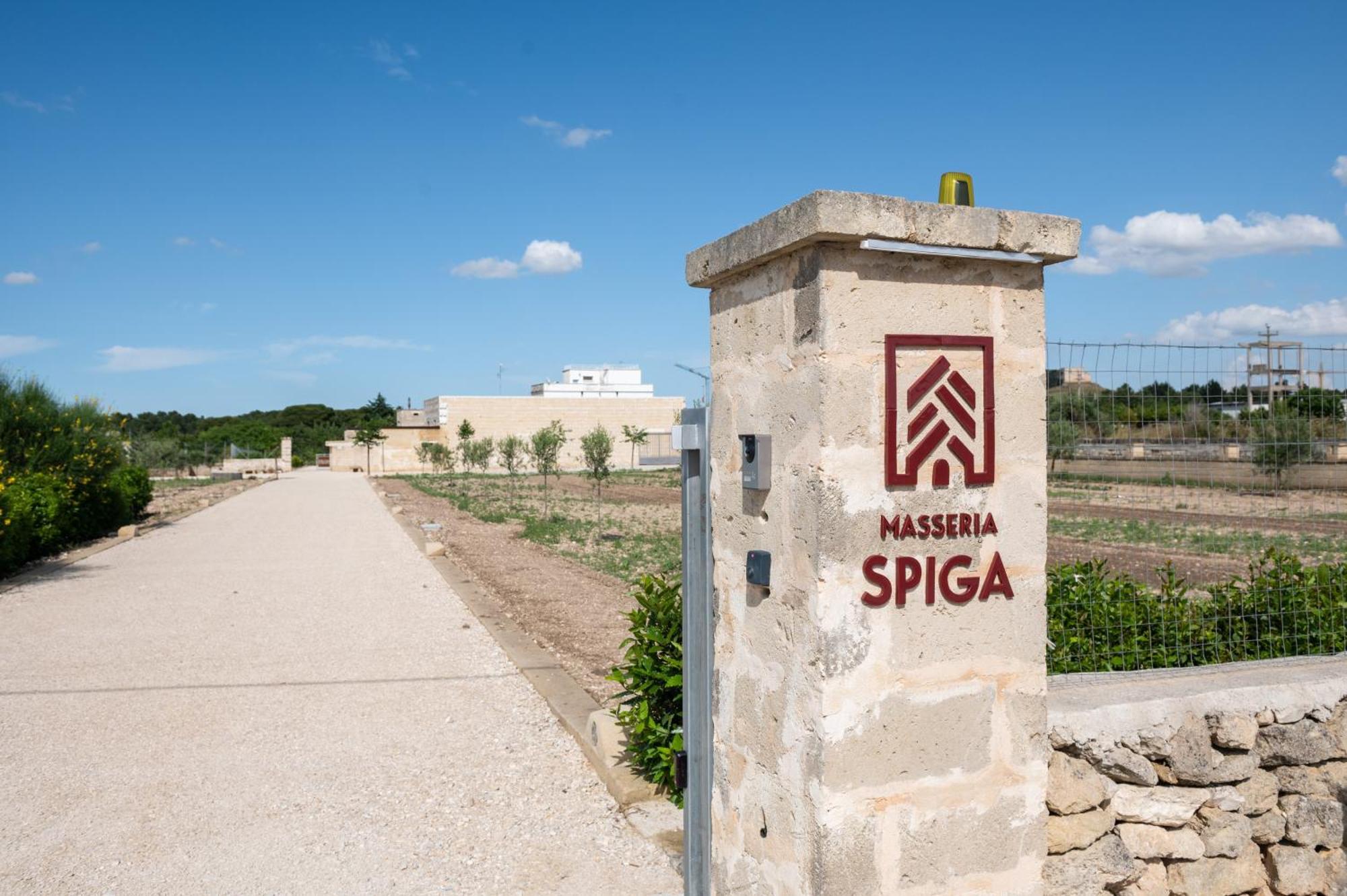 Masseria Spiga Gravina in Puglia Extérieur photo