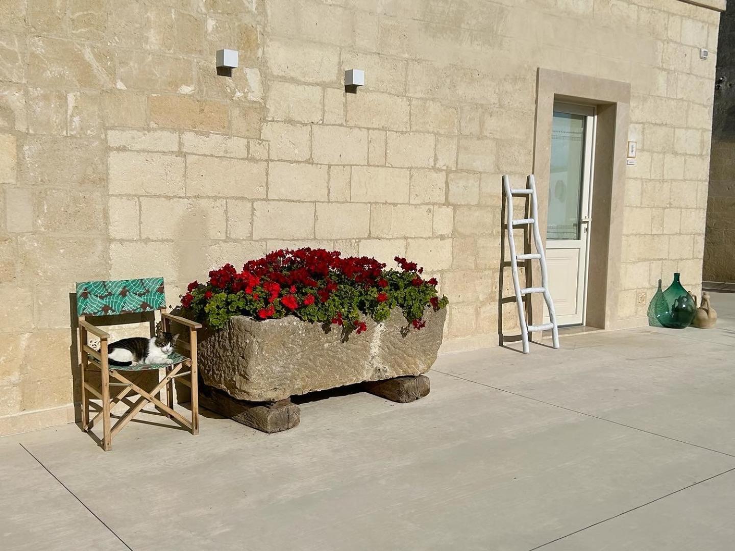 Masseria Spiga Gravina in Puglia Extérieur photo