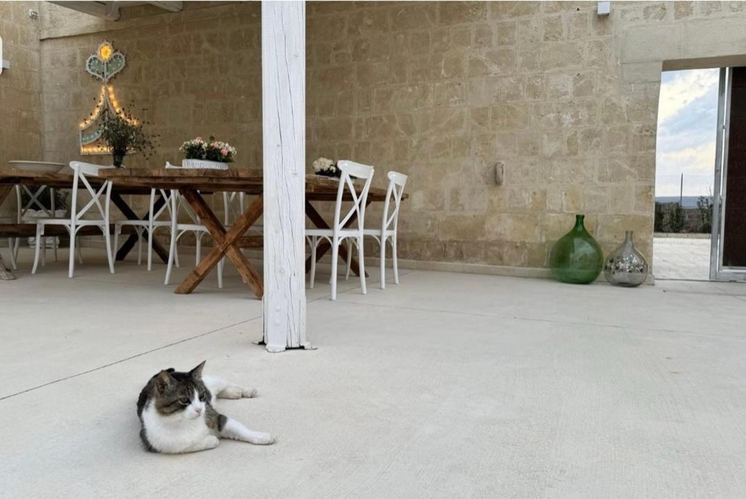 Masseria Spiga Gravina in Puglia Extérieur photo